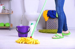roehampton regular domestic clean in sw15