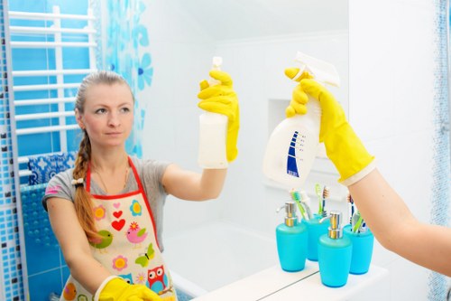 Professional pet stain odour removal for carpet in Roehampton home