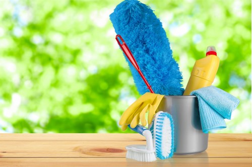 Domestic cleaning service for a Roehampton home