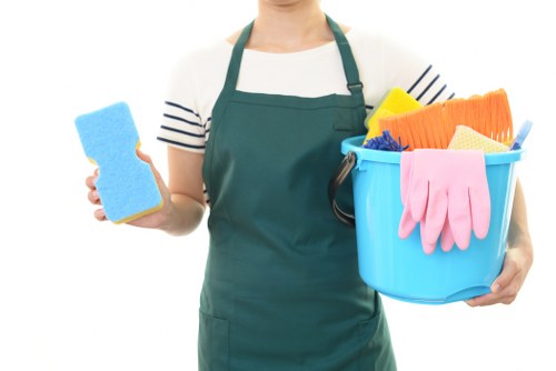 Professional oven cleaning service for Roehampton homes