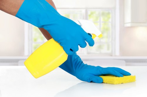 Carpetcleaning Roehampton van and recycling-focused cleaning team