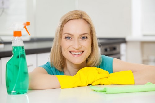 Oven cleaning appointment for a Roehampton property