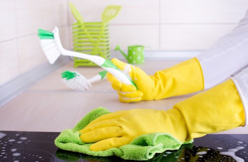Curtain cleaning for residential and commercial properties in Roehampton