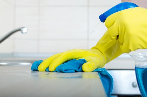 Local gutter maintenance for residential and commercial buildings in Roehampton
