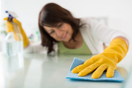 Specialist cleaning equipment used for pet stain removal in a Roehampton property