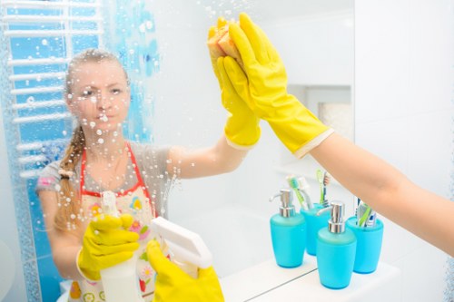 Detailed bathroom and surface cleaning in Roehampton