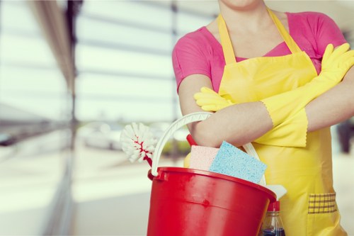 Regular home cleaning service in Roehampton